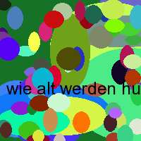 wie alt werden hund